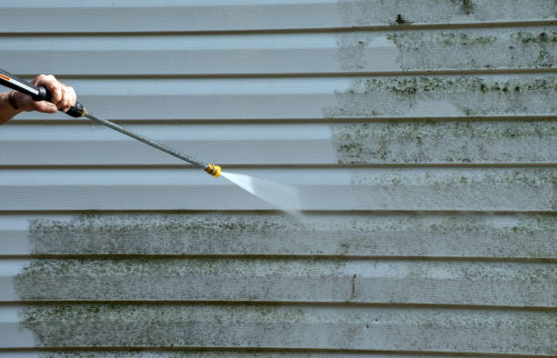 Best Deck Cleaning Services  in Three Oaks, FL