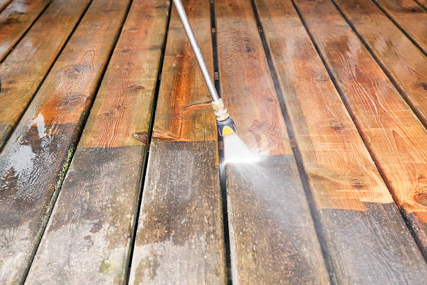 Best House Pressure Washing  in Three Oaks, FL