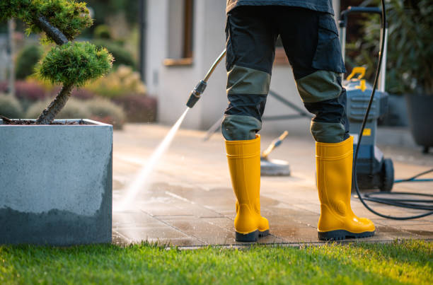 Best Exterior Home Cleaning  in Three Oaks, FL